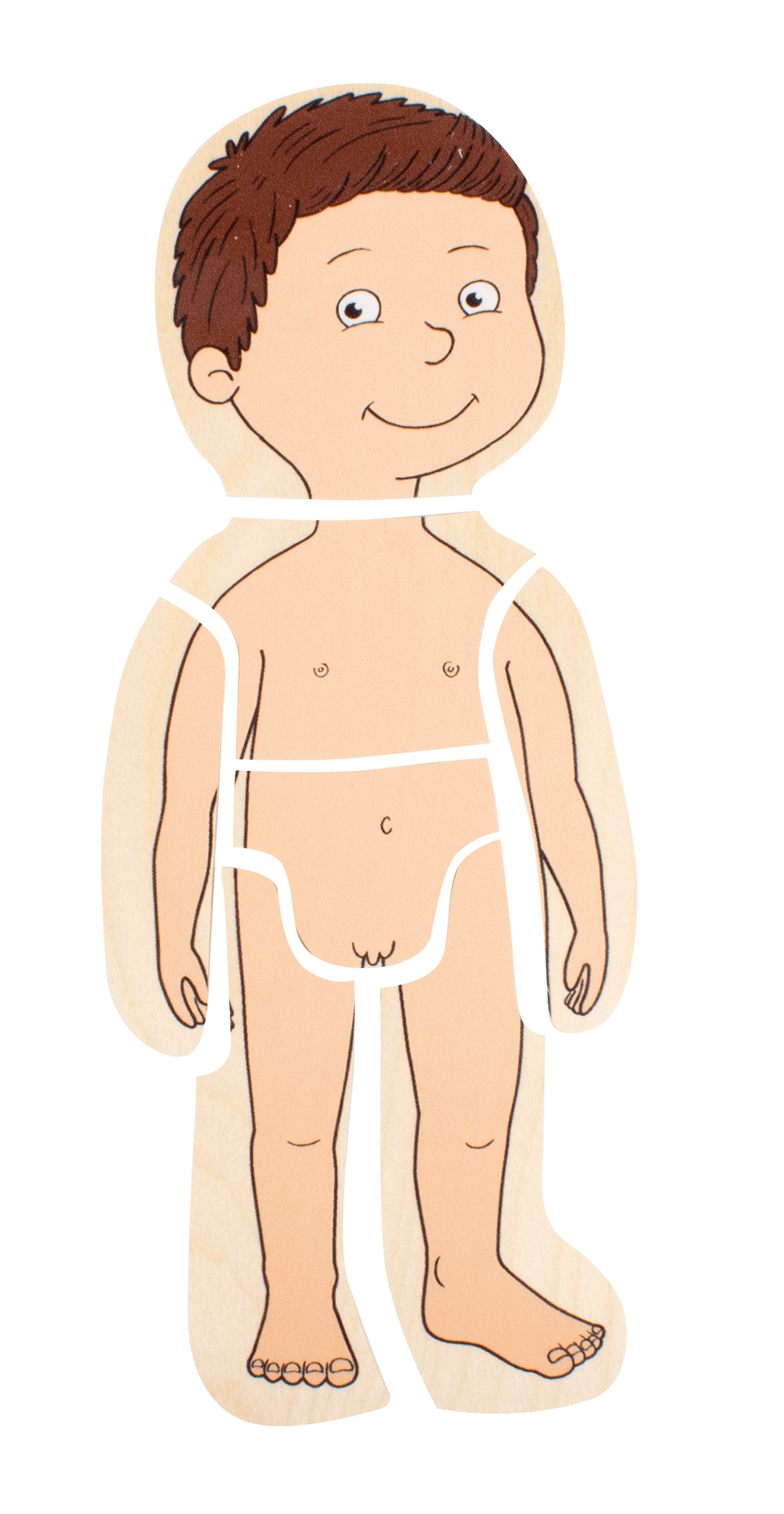 Parts of human body | Human body, Body, Charts for kids